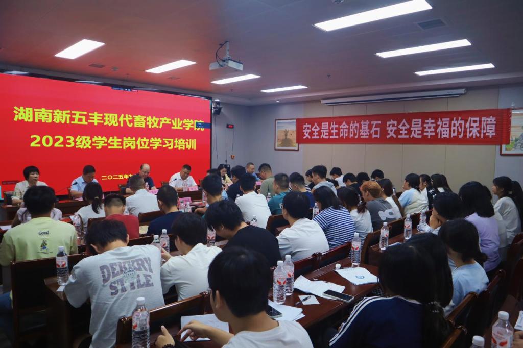 副校长陈强