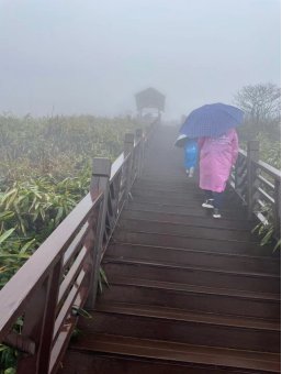 全体人员乘车来到宁远下灌村