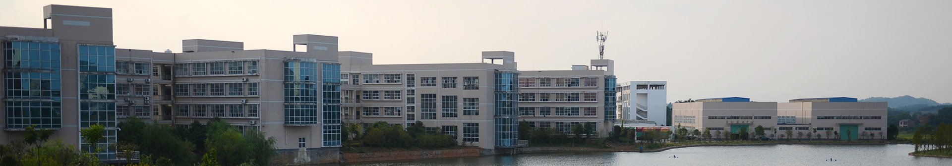 2025-05-27 点击数